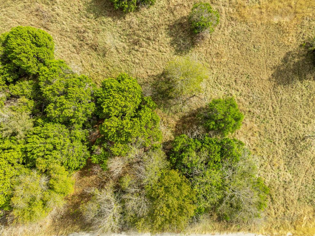 White Bluff #38 - Land