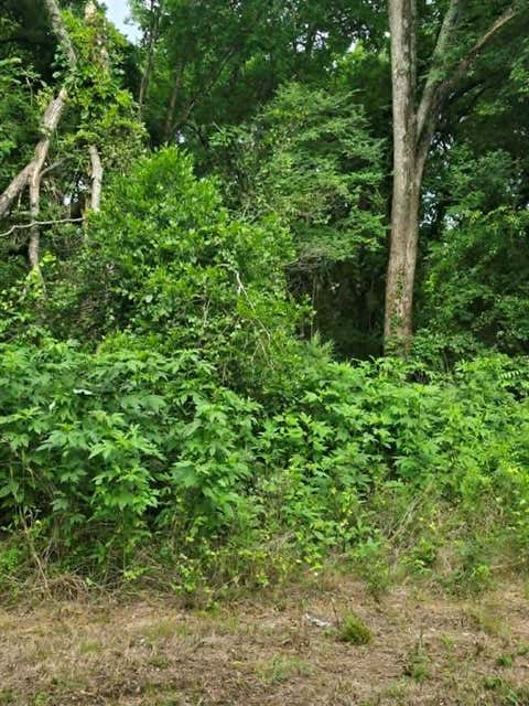 Photo of TBD Sellars Street, Daingerfield, TX 75638 (MLS # 21308047)