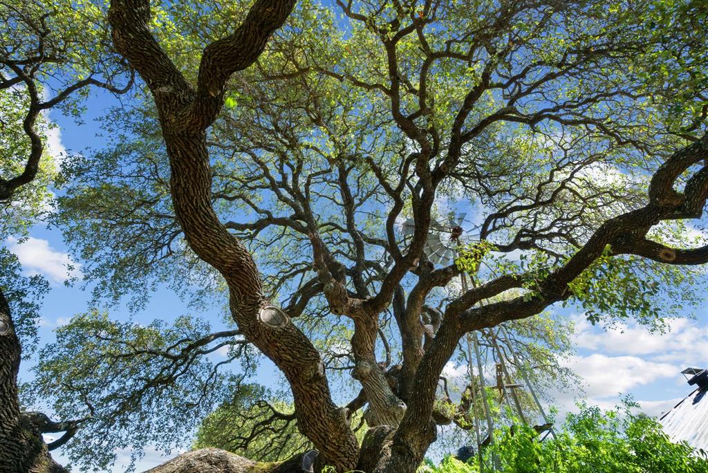 John Schroeder Surv Abs #505 - Residential