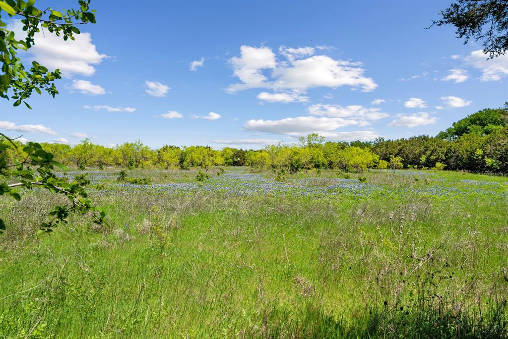 John Schroeder Surv Abs #505 - Residential