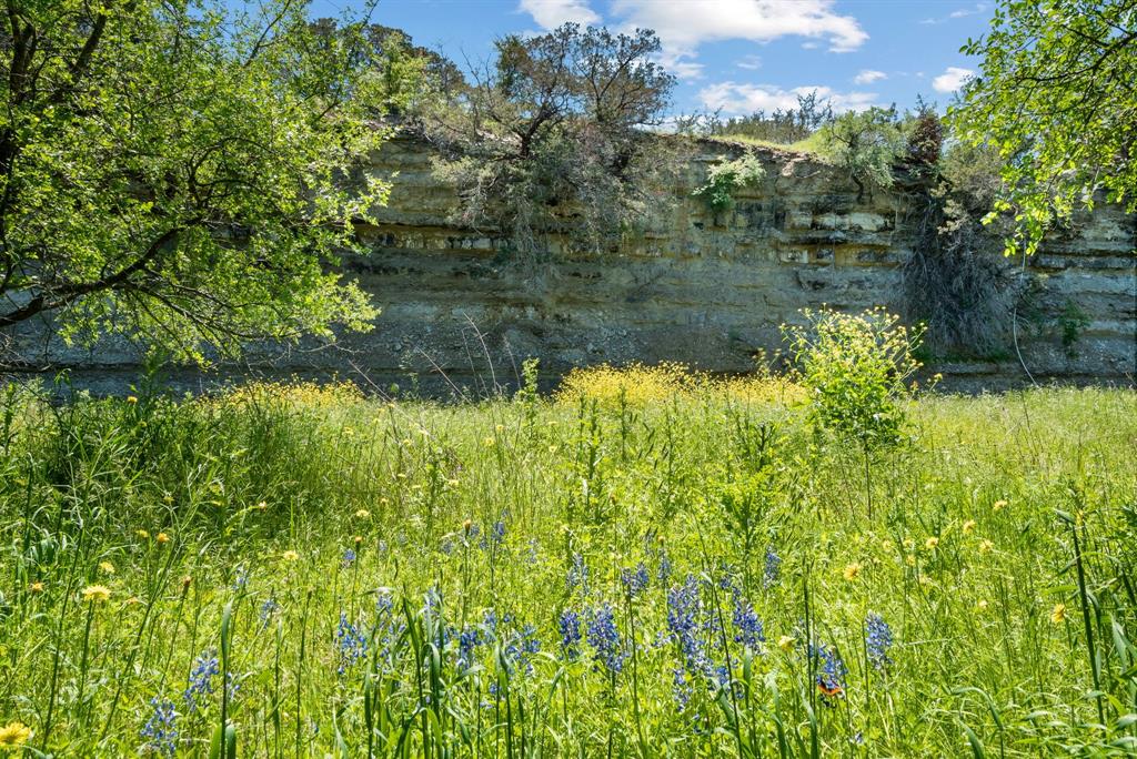 John Schroeder Surv Abs #505 - Residential