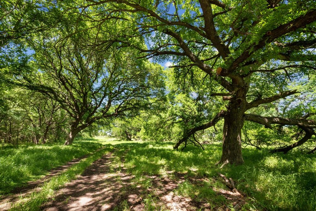 John Schroeder Surv Abs #505 - Residential