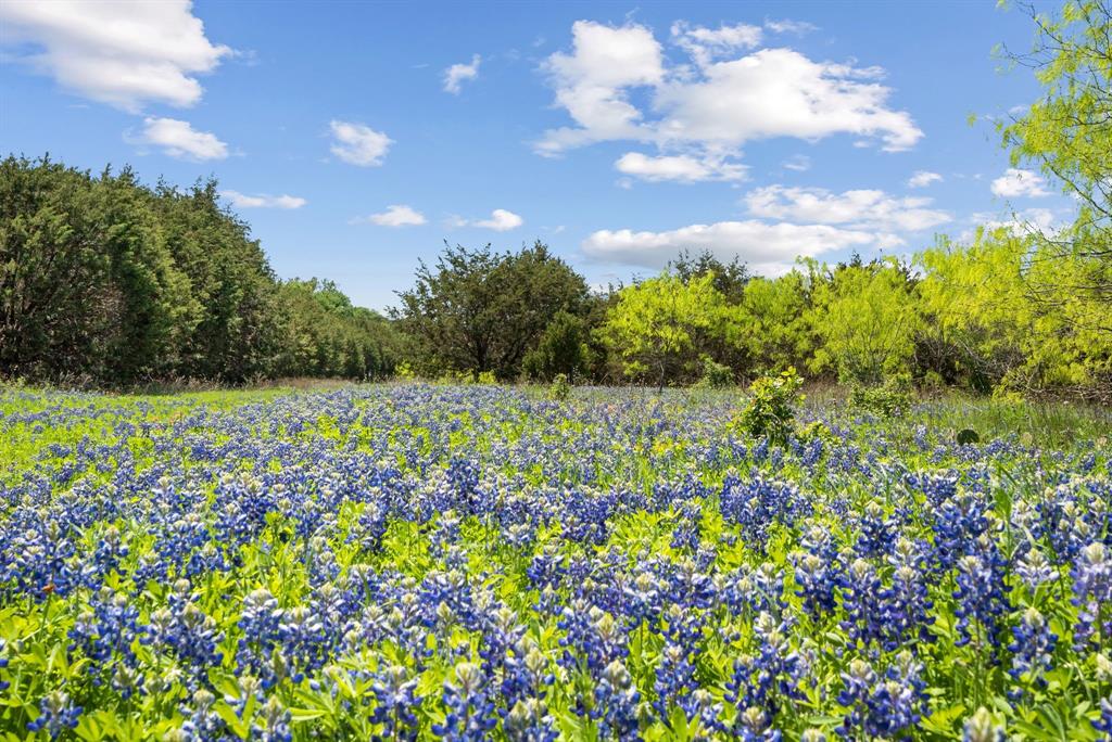 John Schroeder Surv Abs #505 - Residential