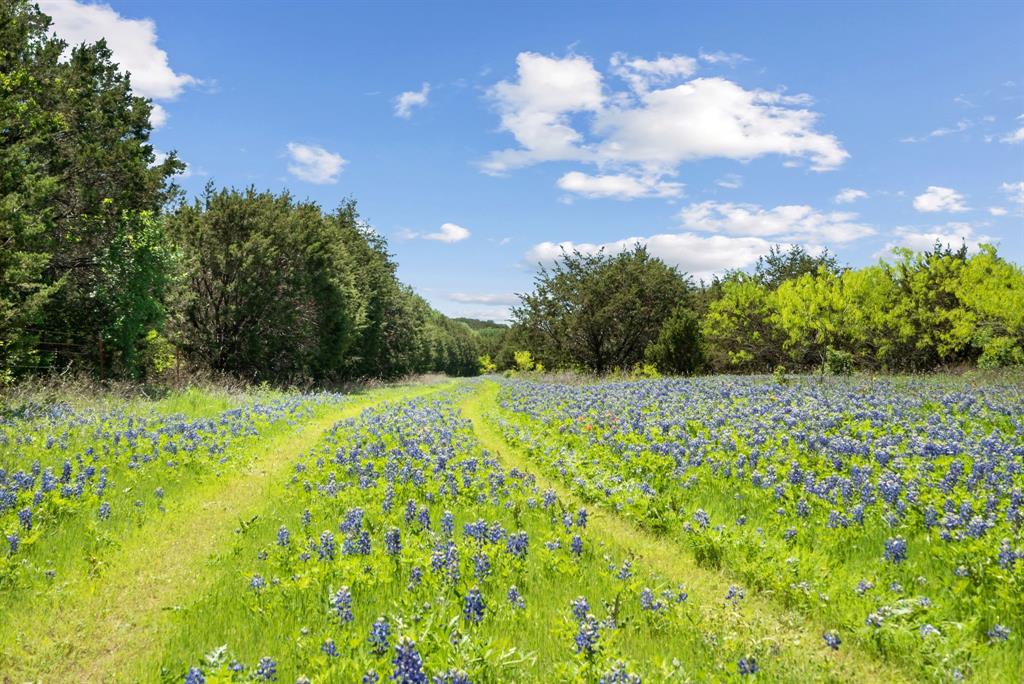 John Schroeder Surv Abs #505 - Residential