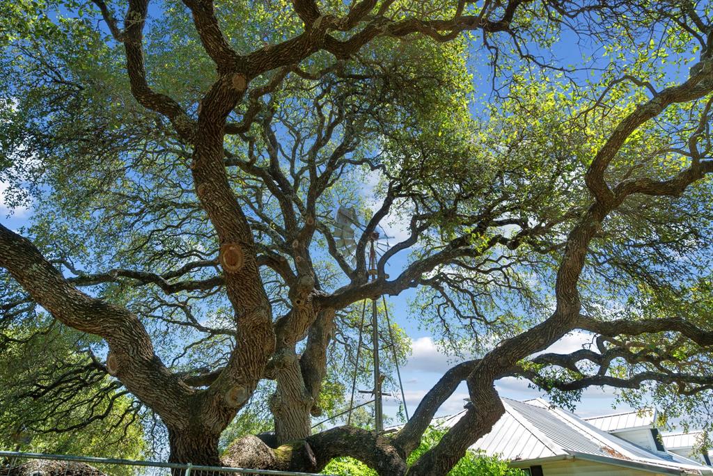 John Schroeder Surv Abs #505 - Residential