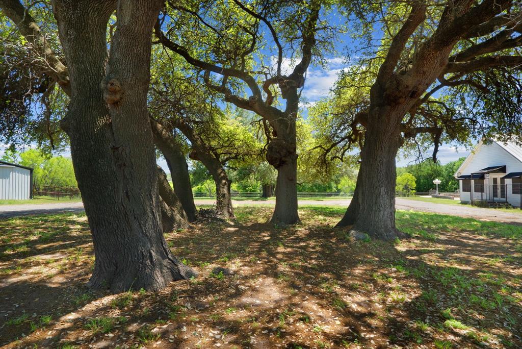 John Schroeder Surv Abs #505 - Residential