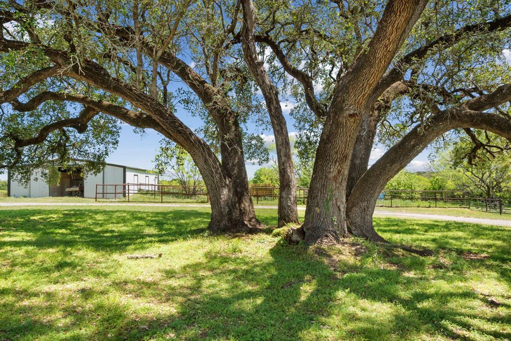 John Schroeder Surv Abs #505 - Residential