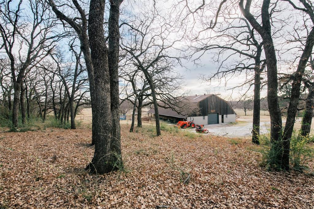 Tbd El Cielito Street