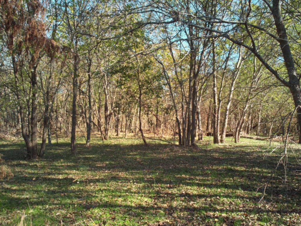 000 N Mlk Jr Highway