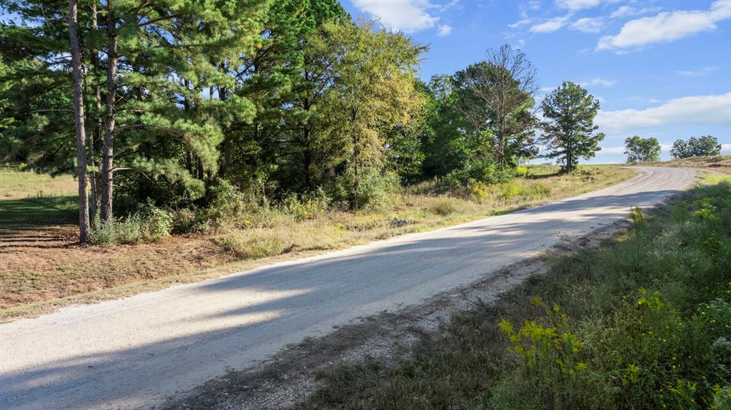 Veritatis Splendor - Land