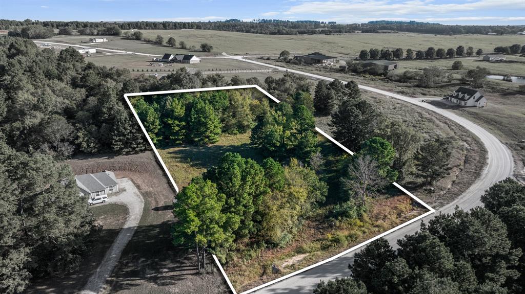 Veritatis Splendor - Land