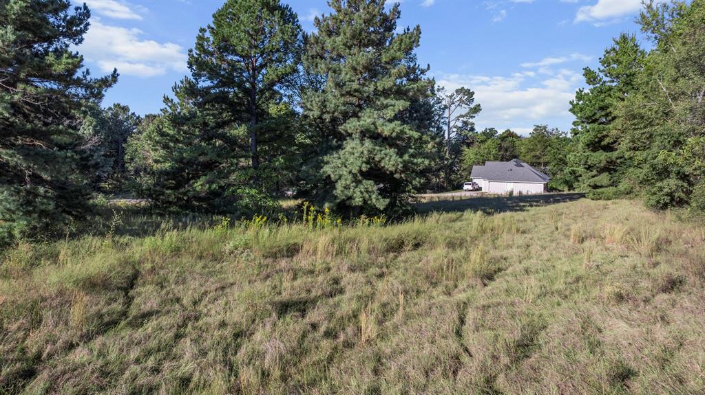 Veritatis Splendor - Land