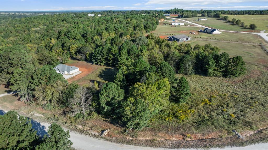 Veritatis Splendor - Land