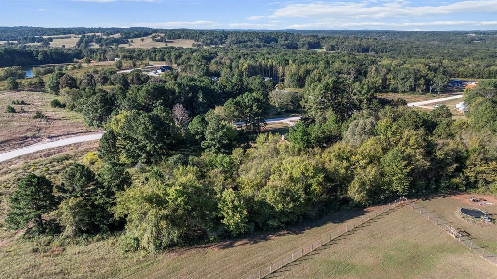 Veritatis Splendor - Land