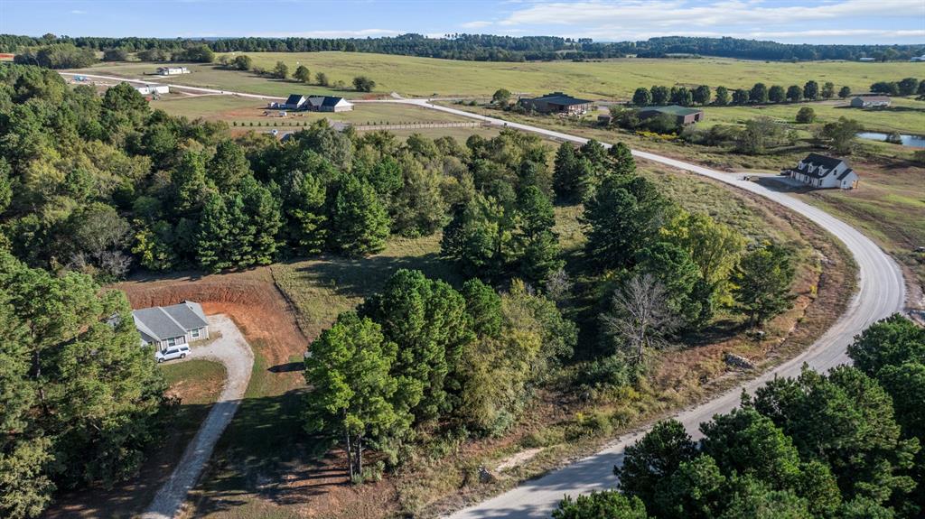 Veritatis Splendor - Land