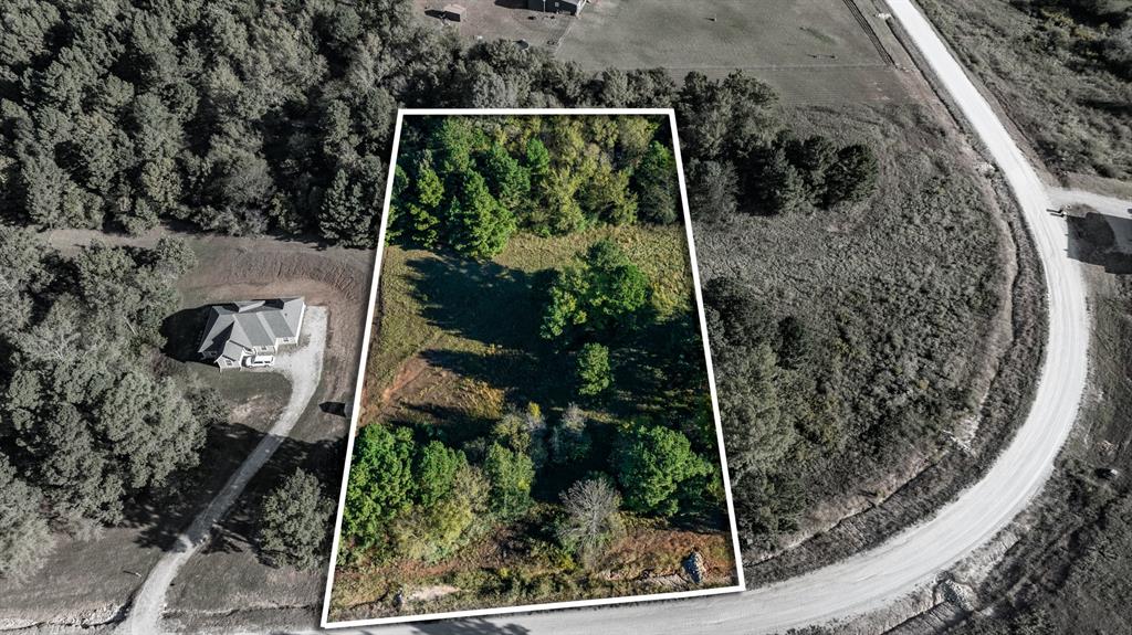 Veritatis Splendor - Land