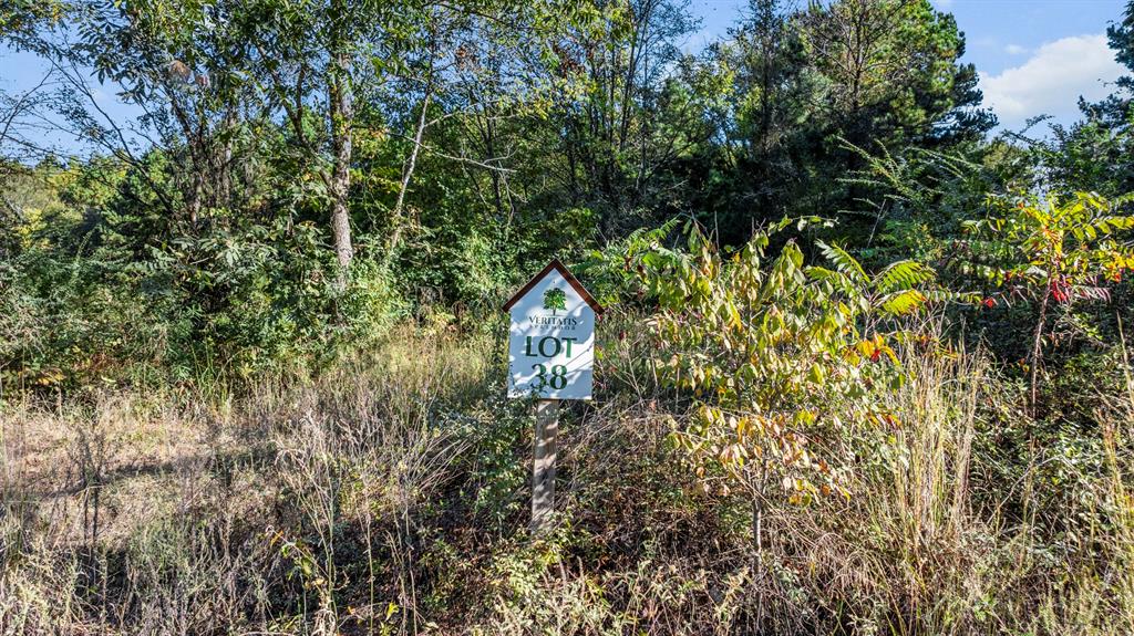 Veritatis Splendor - Land