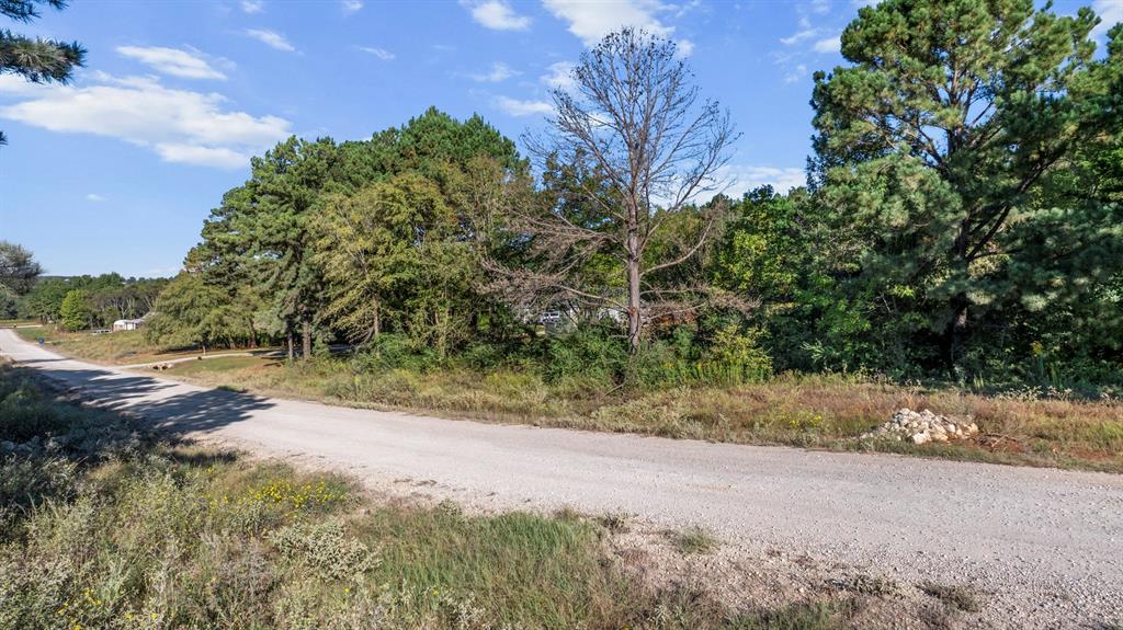 Veritatis Splendor - Land