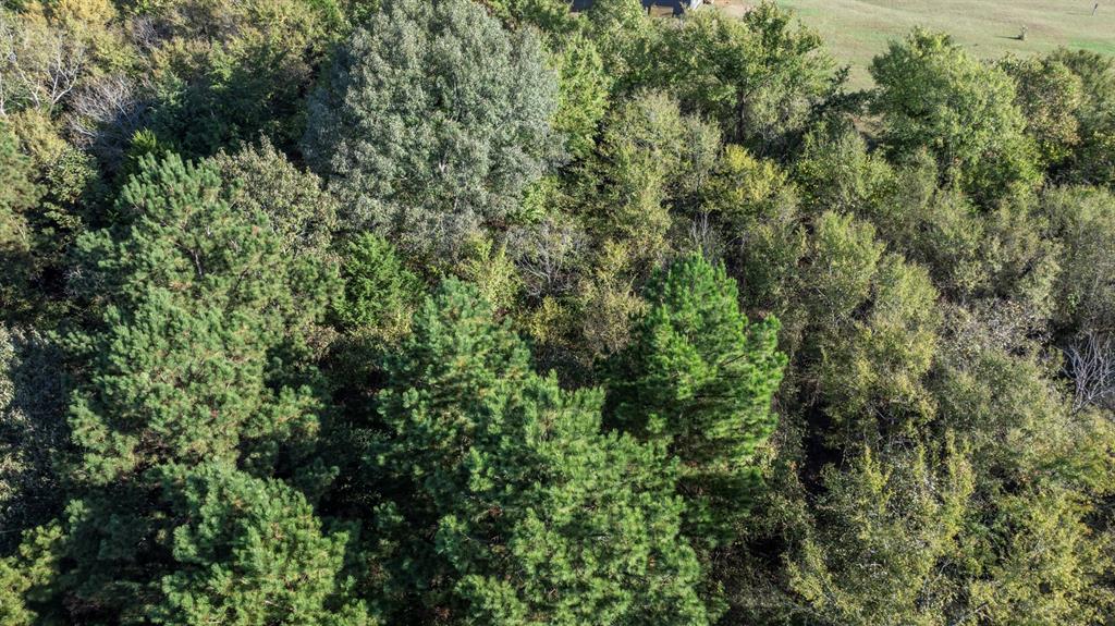 Veritatis Splendor - Land