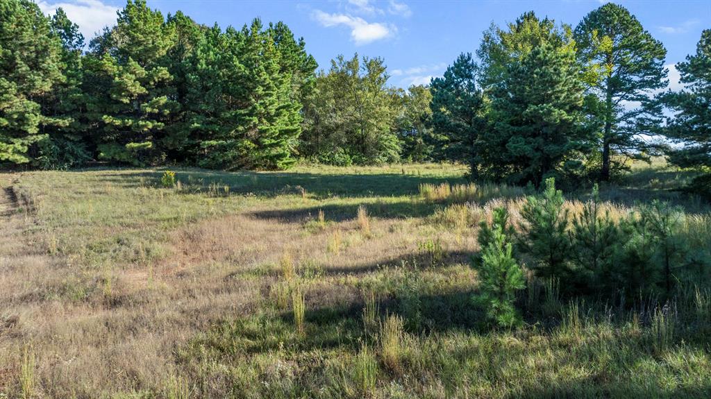 Veritatis Splendor - Land