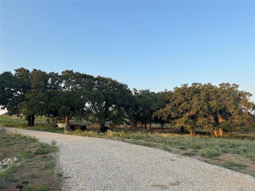 Discover the perfect blend of natural beauty and rural convenience with this stunning 10.07-acre tract located just over 1 mile from the highly sought-after Peaster ISD. With no HOA and very minimal restrictions, this property offers the freedom to build your dream home, start a small ranch, or invest in a piece of the peaceful Texas countryside.
Fenced on three sides and dotted with mature oak trees, the land features gently rolling topography and coastal Bermuda grass—ideal for grazing livestock. The property is ag exempt, providing valuable tax savings, and serves as a blank canvas ready for your personal touch. Additional 10-12+ acre tracts available.