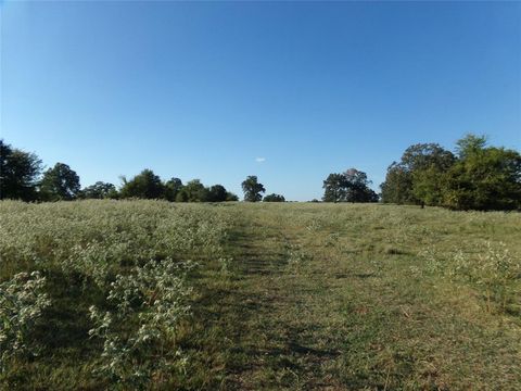 1753 FM 194 Blossom TX 75416