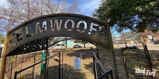 Elmwood - Residential