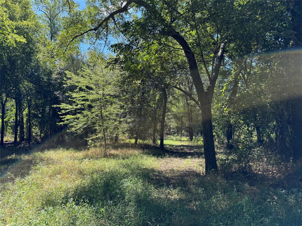 10849 County Road 1117