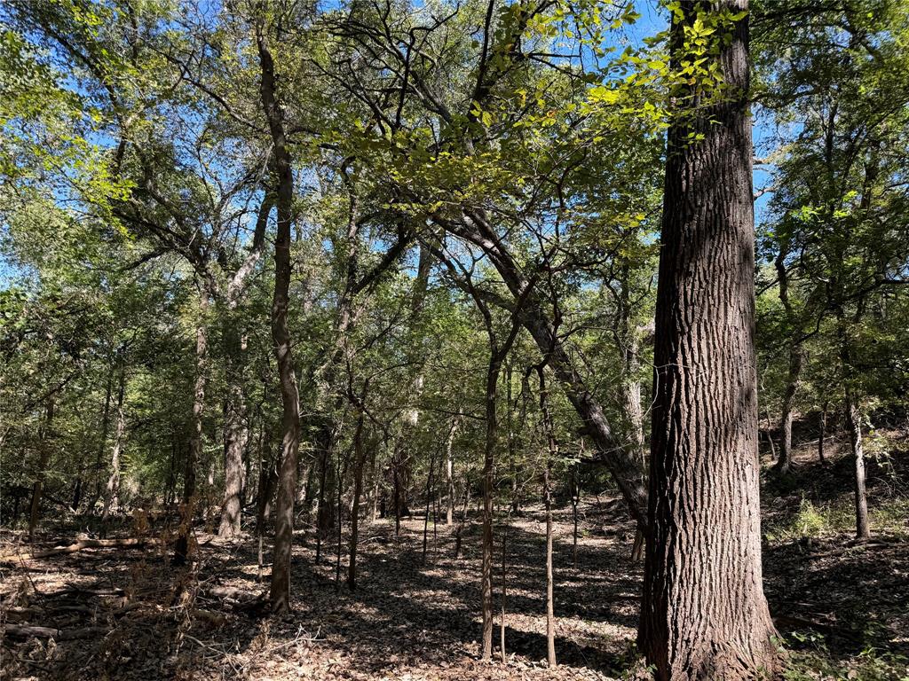 10849 County Road 1117