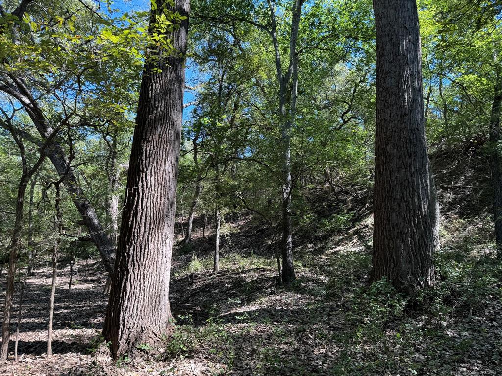 10849 County Road 1117