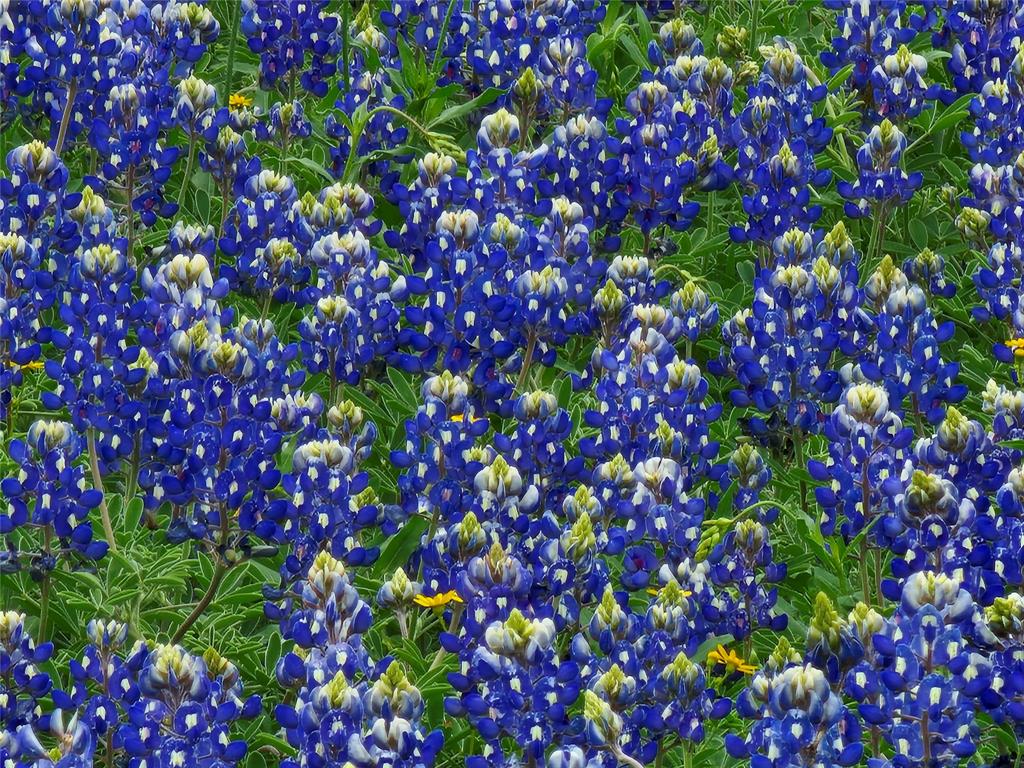 A R Newton - Residential