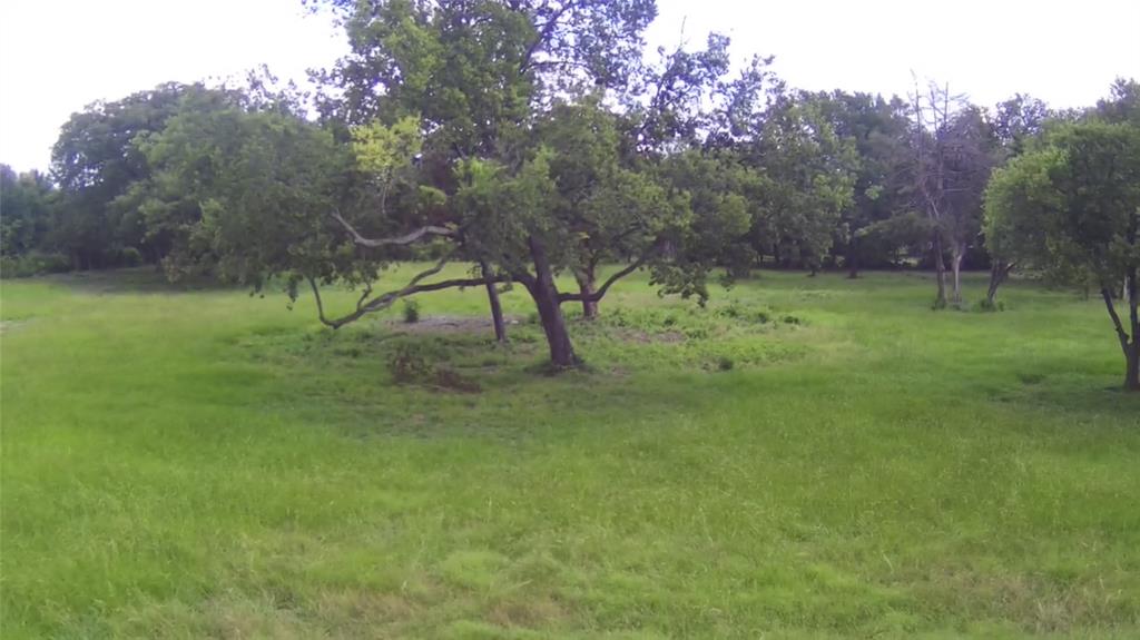 Sherwood Forest - Land