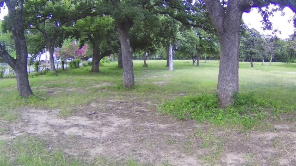 Sherwood Forest - Land