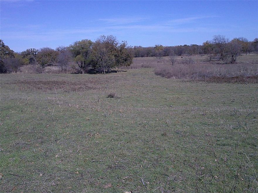 Oh my what a beautiful tract of land with large native Texas pecan trees. Sandy loam soil, great views of the Texas countryside with plenty of peace and quiet out here with Bowie Lake right down the road. Several tracts to choose from with some having creek running thru it and all having big beautiful trees so come out and pick which one suits you best! No mobiles or mfg homes but barndo's are fine. Plenty of room for the kids, cows and Dad's toys and just a very short drive back to Bowie. Great country feel, paved county road frontage and water wells in area are good.