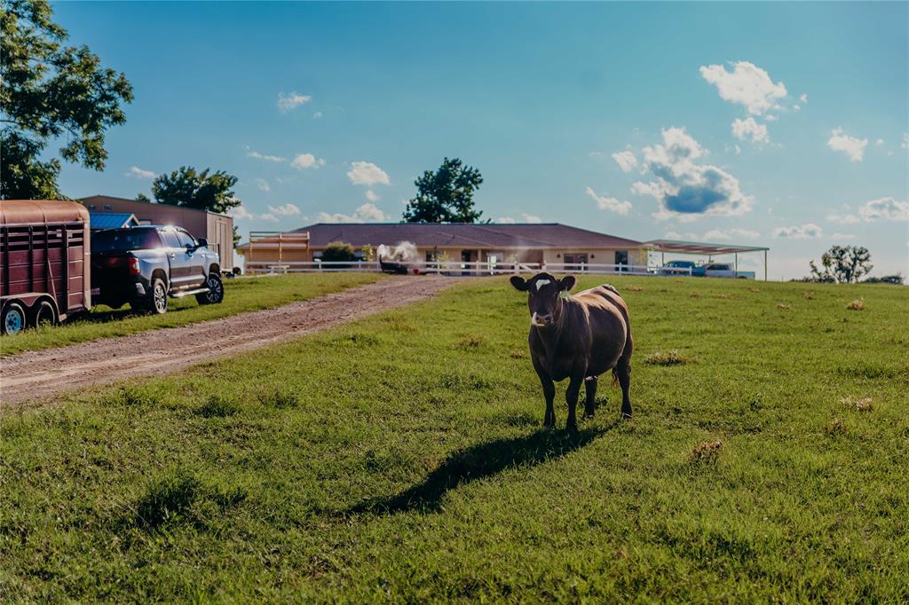 John Marshall Surv Abs # 646 - Residential