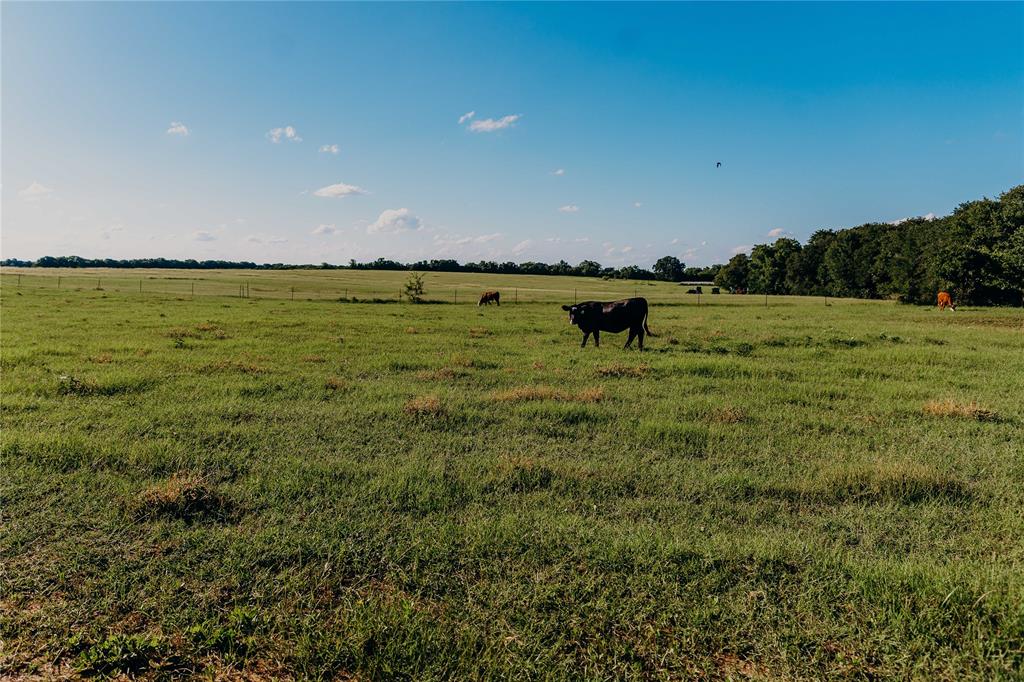 John Marshall Surv Abs # 646 - Residential