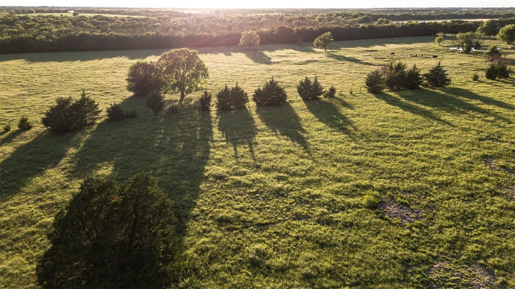 Thomas Riley Surv Abs #868 - Land