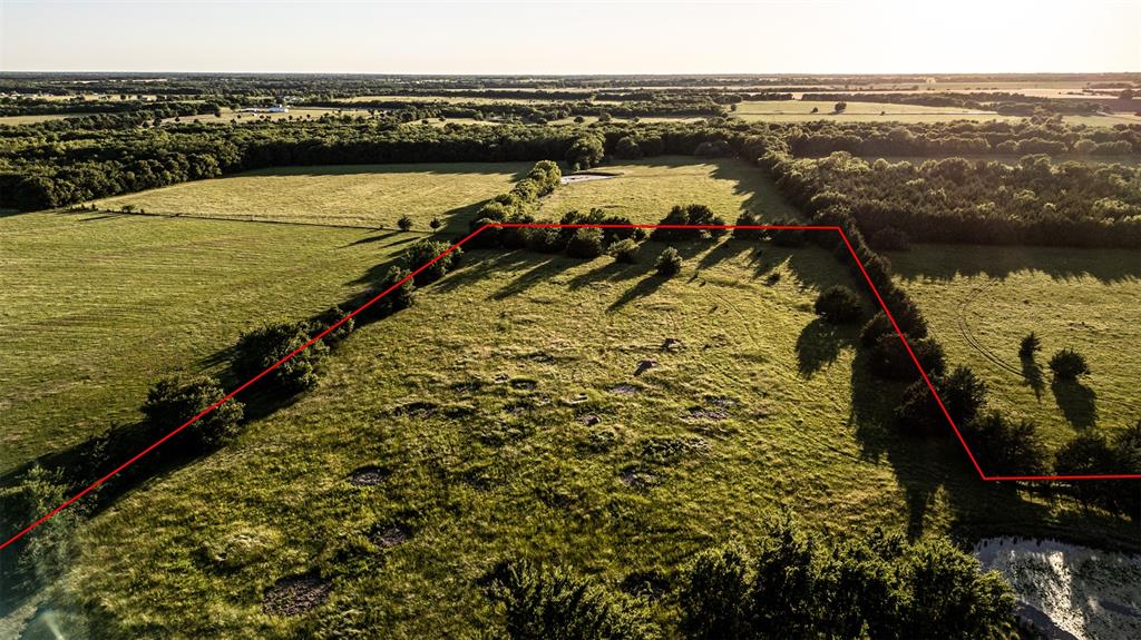 Thomas Riley Surv Abs #868 - Land