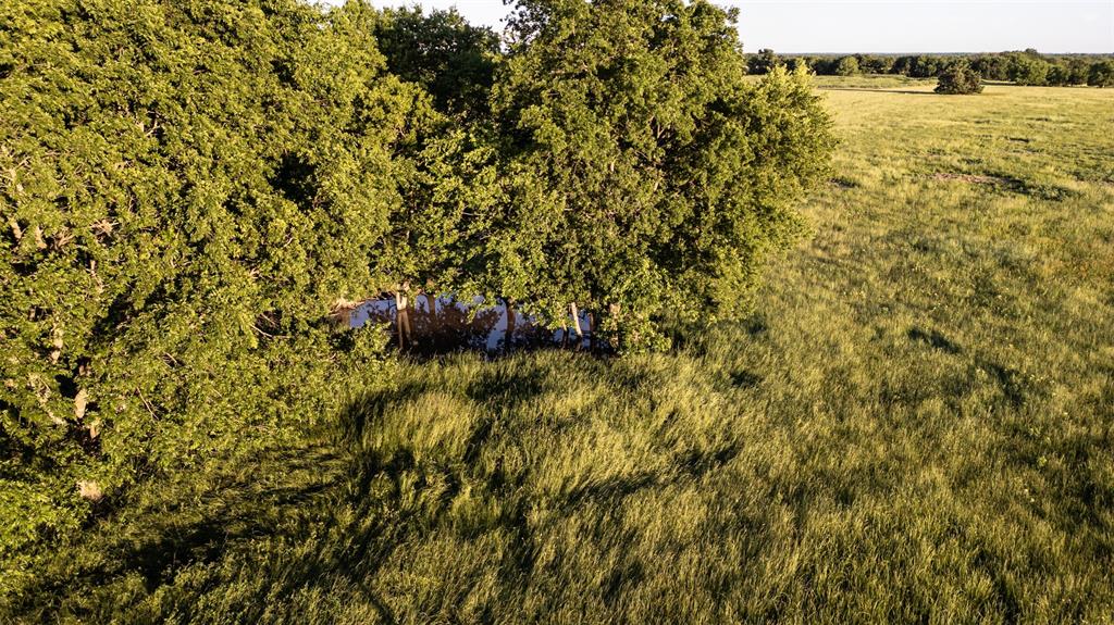 Thomas Riley Surv Abs #868 - Land