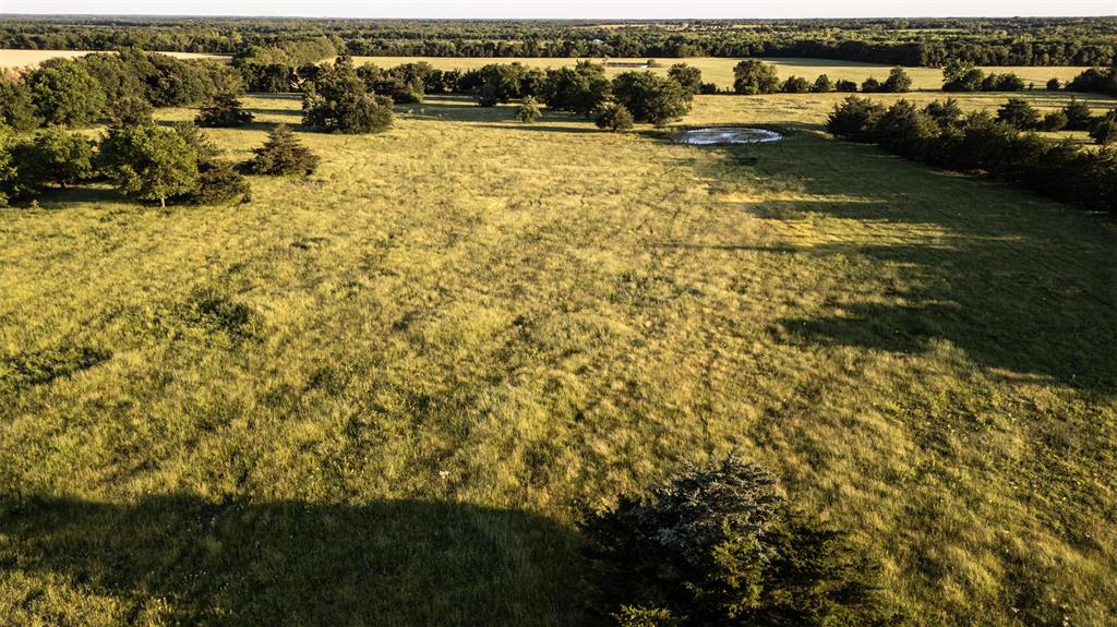 Thomas Riley Surv Abs #868 - Land