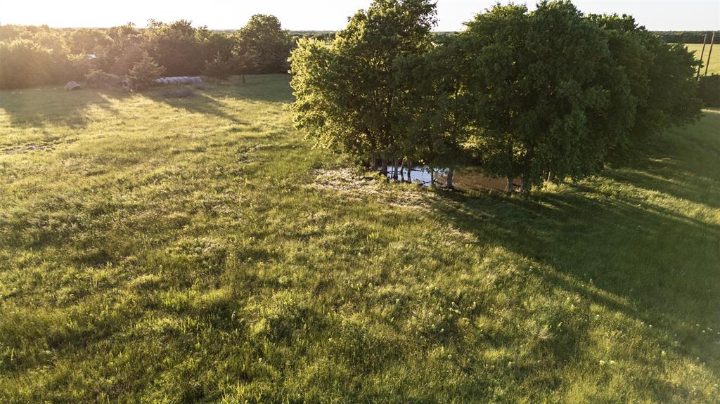 Thomas Riley Surv Abs #868 - Land