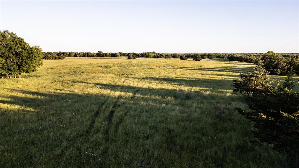 Thomas Riley Surv Abs #868 - Land