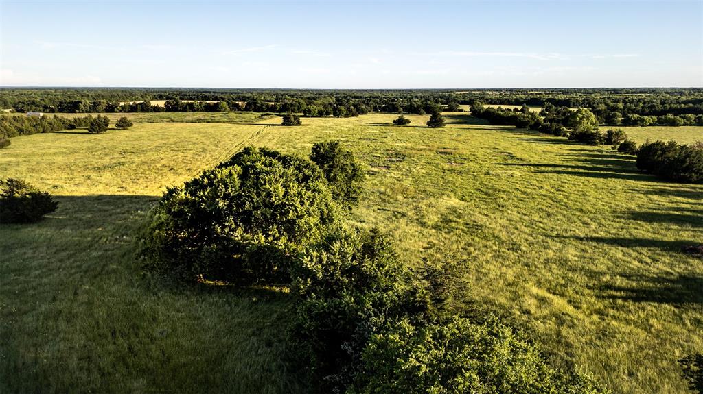 Thomas Riley Surv Abs #868 - Land