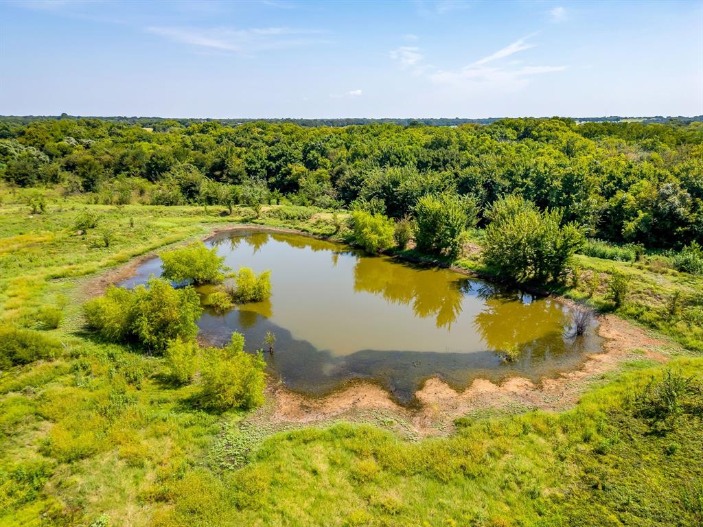 TBD County Road 307