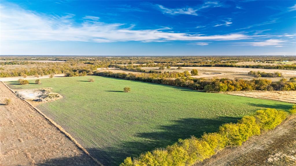 Jane Doak Surv Abs #242 - Land