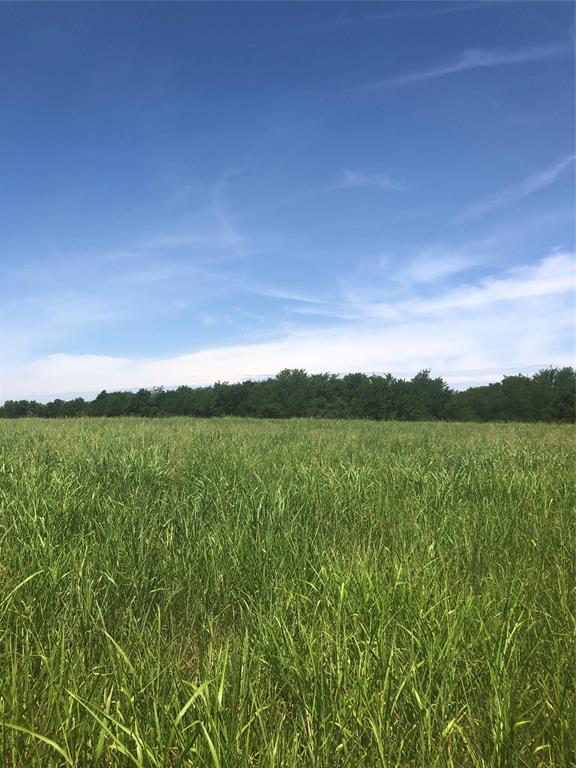 Jane Doak Surv Abs #242 - Land