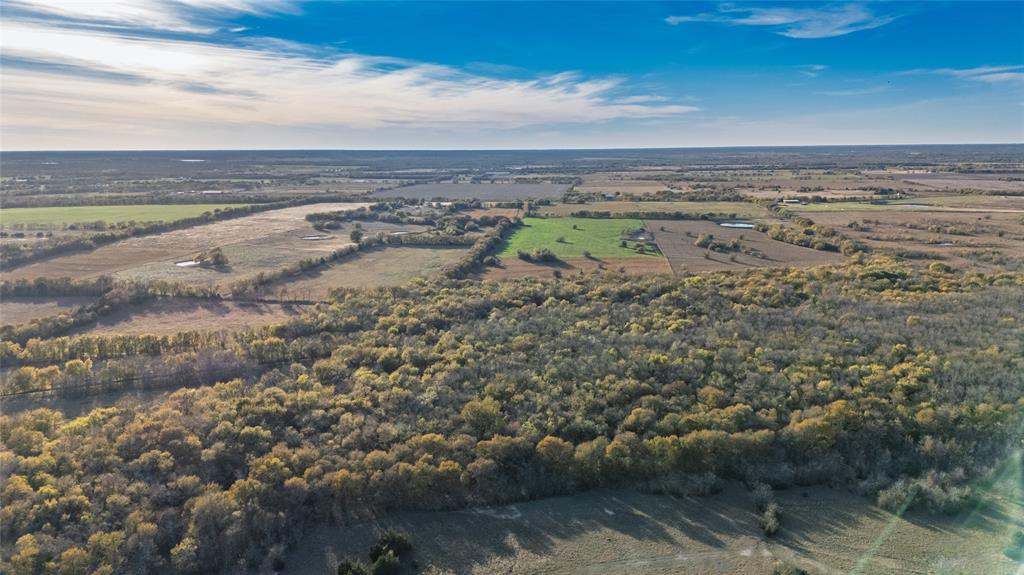 Jane Doak Surv Abs #242 - Land