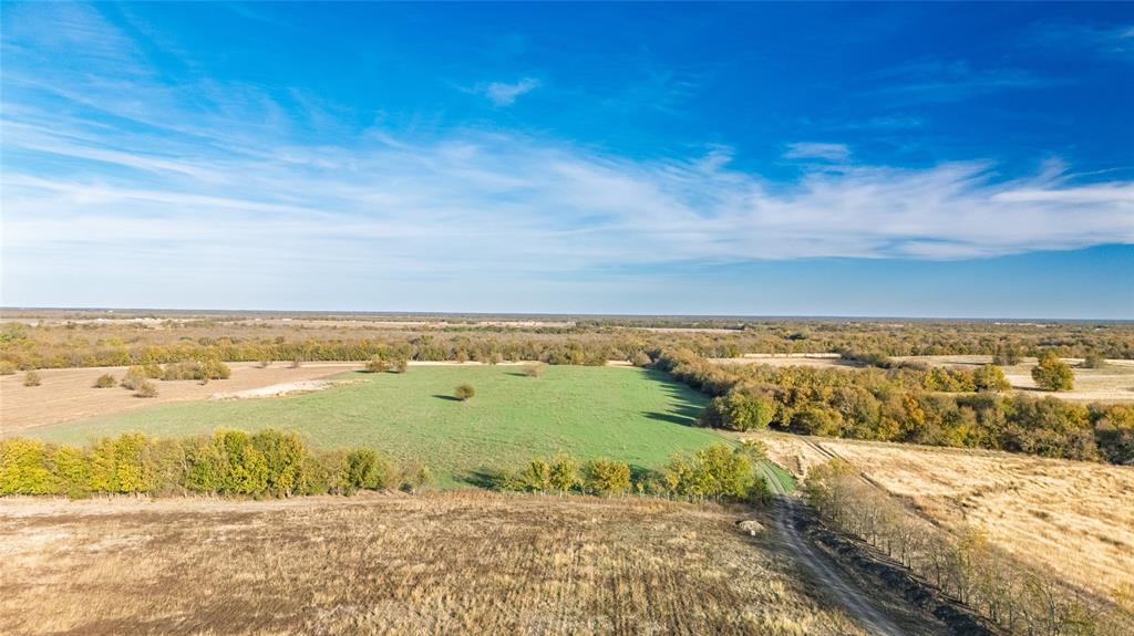 Jane Doak Surv Abs #242 - Land