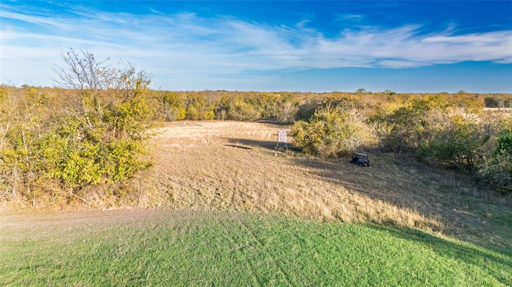 Jane Doak Surv Abs #242 - Land