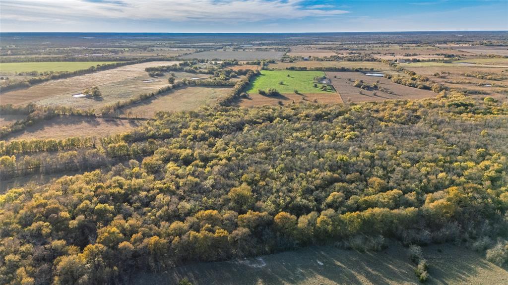 Jane Doak Surv Abs #242 - Land